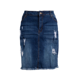 Belinda Denim Pencil Mini Skirt